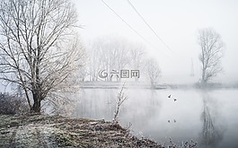 湖,水,樹