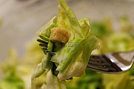 沙拉,吃,食品
