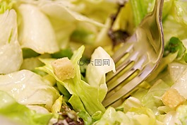 沙拉,吃,食品