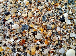 海,砂,貝殼