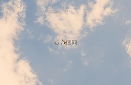 鳥,翅膀,飛行