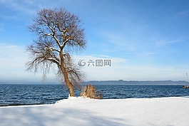 冬天,雪,湖