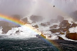 尼亞加拉,彩虹,水