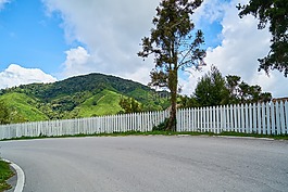 路,籬笆,去