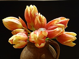 春天,郁金香花束,切花