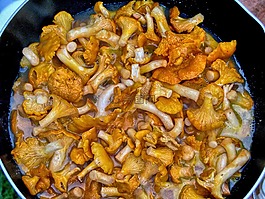 蘑菇,公雞,烹飪