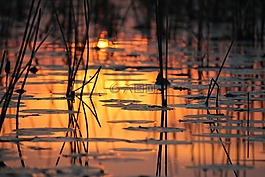 abendstimmung,水,博茨瓦納