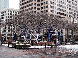 西雅圖,雪,西湖