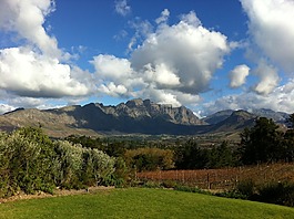 南非,葡萄園,山