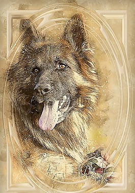 狗,德國牧羊犬,動物