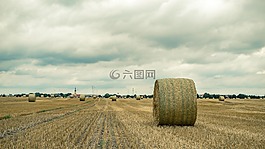字段,秸稈,稻草包