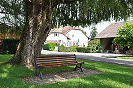 公園長椅,長凳,座位