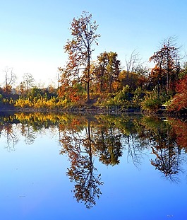 秋季,樹,湖