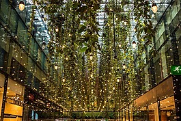 燈,植物,花園