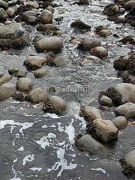 溪,河,水