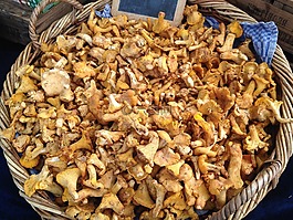 蘑菇,蔬菜,廚師