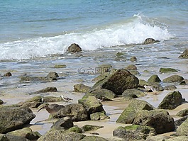 海灘,石頭,海