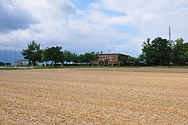 原野,農(nóng)村,農(nóng)業(yè)