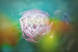 壁紙,數(shù)字,光
