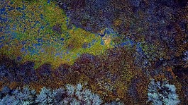 自然,景觀,空氣