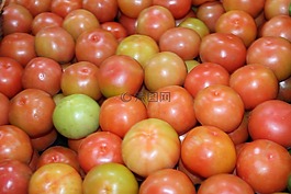 食品,蔬菜,蕃茄
