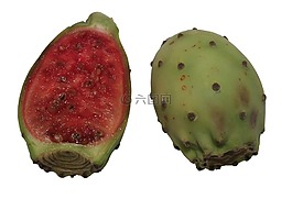 仙人掌,绿色,红色