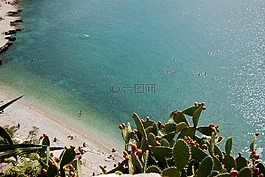 海,水,地中海