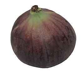 無花果,榕,新鮮