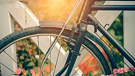 自行車,釀酒,夏天