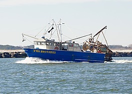 船,釣魚,漁船