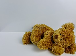 泰迪熊,熊,玩具熊