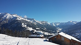 冬天,雪,寒冬