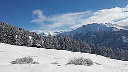 冬天,雪,寒冬