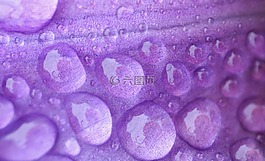 雨,滴,下降