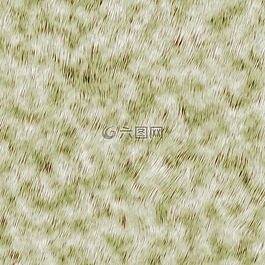背景,紋理,那些