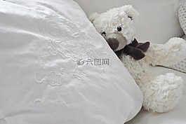 熊,玩具熊,泰迪熊