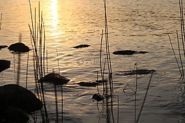 湖,瑞典,平静