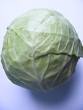 抗癌,抗氧化劑,卷心菜
