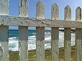 籬笆,海,海灘