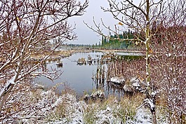 湖,冷,雪