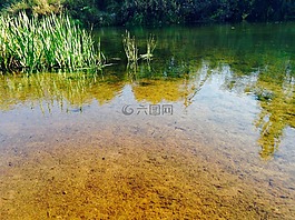 水,池塘,反射