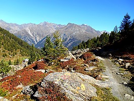 山,景觀,遠(yuǎn)足