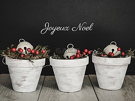 诺埃尔,度假,节日