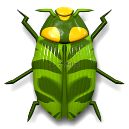 瓢蟲(chóng),昆蟲(chóng),動(dòng)物