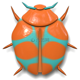 瓢蟲(chóng),昆蟲(chóng),動(dòng)物
