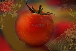 番茄,紅色,蔬菜