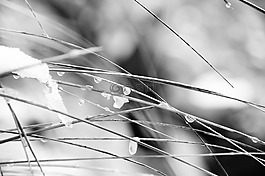 雪,冰,冷