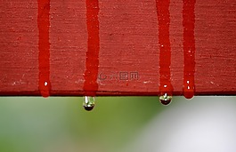 下降,雨,雨滴