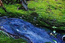 水,流利,河