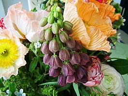 束鮮花,混合的花,切花